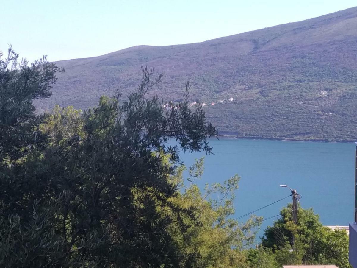Ðenovići Apartments Acacia Hill المظهر الخارجي الصورة